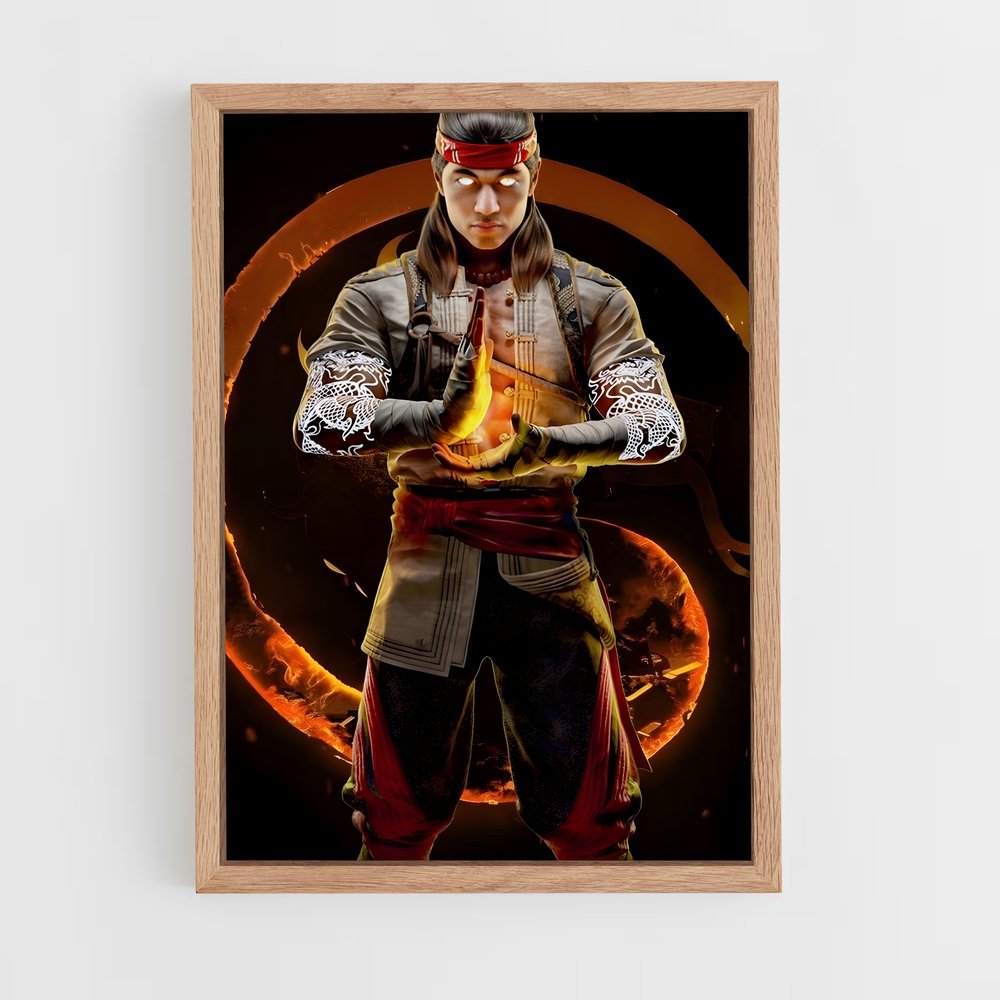 Poster Liu Kang: Dragon's Fury – affiche Mortal kombat (vue 4)